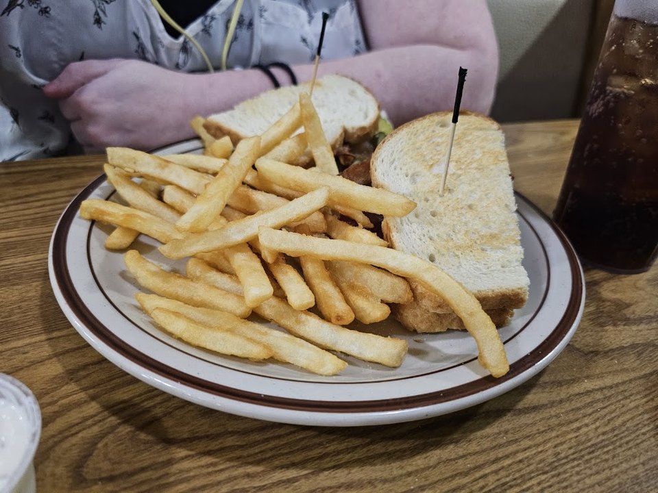 Sandwich w Fries